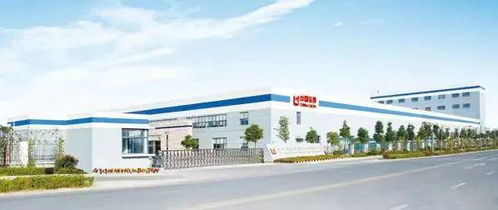 安徽省技術標準創新基地（新型顯示膜材料）通過驗收，新型膜材料制造獲重大突破